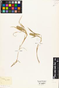 SW_BNB_s3010-04501_IMG-0000000001