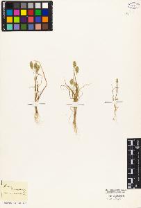 SW_BNB_s3010-04502_IMG-0000000001