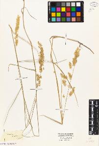 SW_BNB_s3010-04503_IMG-0000000001