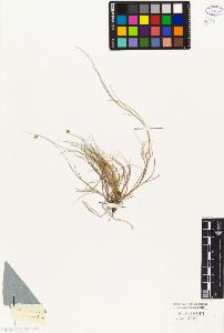 SW_BNB_s3010-04504_IMG-0000000001