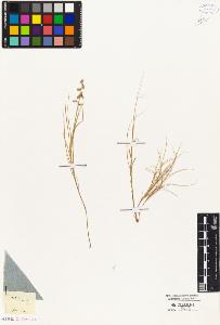 SW_BNB_s3010-04505_IMG-0000000001