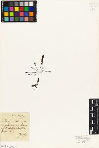 SW_BNB_s3010-04513_IMG-0000000001
