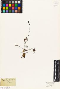 SW_BNB_s3010-04514_IMG-0000000001