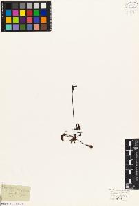 SW_BNB_s3010-04516_IMG-0000000001