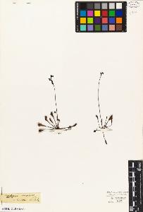 SW_BNB_s3010-04519_IMG-0000000001