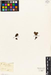 SW_BNB_s3010-04520_IMG-0000000001