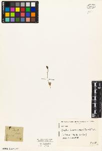 SW_BNB_s3010-04530_IMG-0000000001
