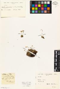 SW_BNB_s3010-04531_IMG-0000000001