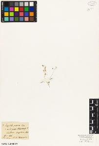 SW_BNB_s3010-04532_IMG-0000000001