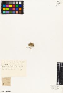 SW_BNB_s3010-04533_IMG-0000000001