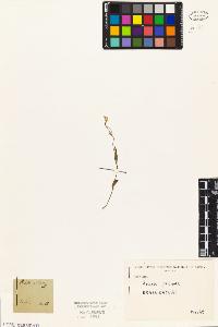 SW_BNB_s3010-04534_IMG-0000000001