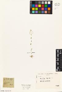 SW_BNB_s3010-04535_IMG-0000000001