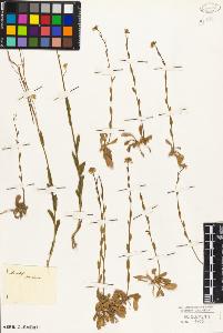 SW_BNB_s3010-04538_IMG-0000000001