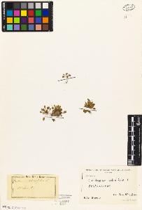 SW_BNB_s3010-04539_IMG-0000000001