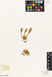 SW_BNB_s3010-04540_IMG-0000000001