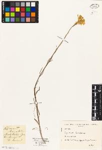 SW_BNB_s3010-04541_IMG-0000000001