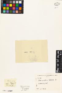SW_BNB_s3010-04543_IMG-0000000001