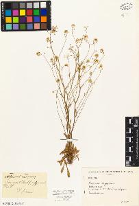 SW_BNB_s3010-04544_IMG-0000000001