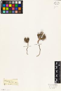 SW_BNB_s3010-04546_IMG-0000000001