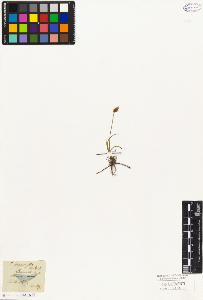 SW_BNB_s3010-04556_IMG-0000000001