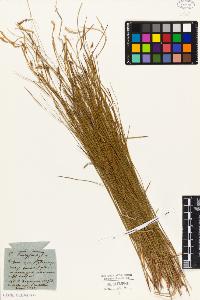 SW_BNB_s3010-04561_IMG-0000000001