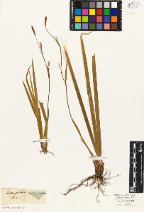 SW_BNB_s3010-04562_IMG-0000000001