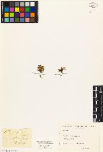 SW_BNB_s3010-04568_IMG-0000000001