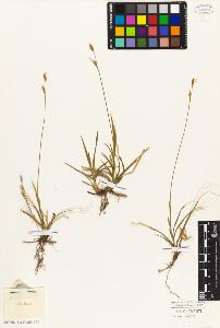 SW_BNB_s3010-04569_IMG-0000000001