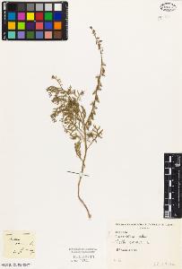 SW_BNB_s3010-04575_IMG-0000000001