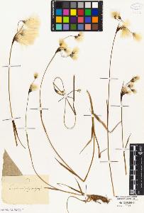 SW_BNB_s3010-04582_IMG-0000000001