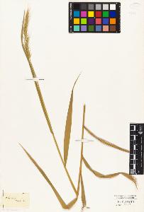 SW_BNB_s3010-04583_IMG-0000000001