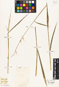 SW_BNB_s3010-04585_IMG-0000000001