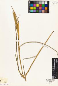 SW_BNB_s3010-04588_IMG-0000000001