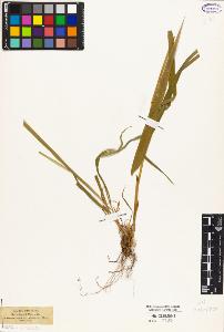 SW_BNB_s3010-04589_IMG-0000000001