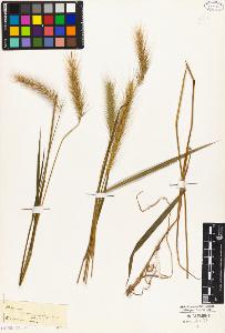 SW_BNB_s3010-04590_IMG-0000000001