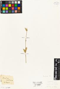 SW_BNB_s3010-04591_IMG-0000000001