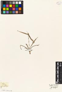 SW_BNB_s3010-04592_IMG-0000000001