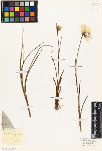 SW_BNB_s3010-04598_IMG-0000000001