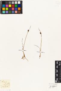SW_BNB_s3010-04599_IMG-0000000001