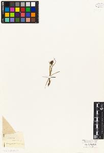SW_BNB_s3010-04603_IMG-0000000001