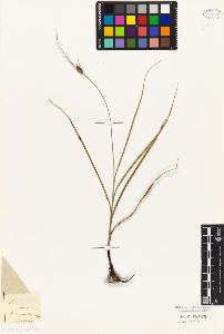 SW_BNB_s3010-04606_IMG-0000000001