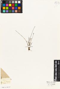 SW_BNB_s3010-04607_IMG-0000000001