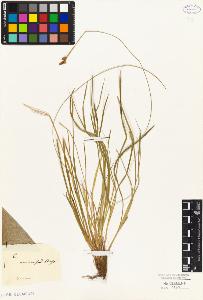 SW_BNB_s3010-04608_IMG-0000000001