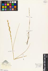 SW_BNB_s3010-04612_IMG-0000000001