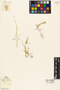 SW_BNB_s3010-04613_IMG-0000000001