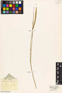 SW_BNB_s3010-04622_IMG-0000000001