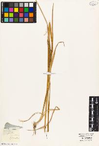 SW_BNB_s3010-04633_IMG-0000000001