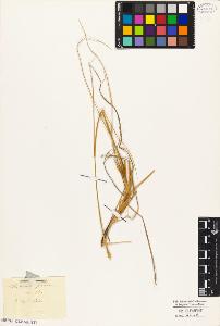 SW_BNB_s3010-04636_IMG-0000000001
