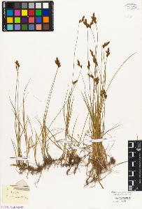 SW_BNB_s3010-04637_IMG-0000000001