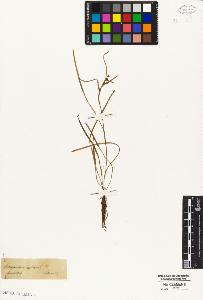 SW_BNB_s3010-04639_IMG-0000000001